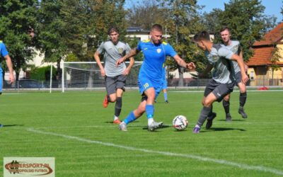 Piąte zwycięstwo Stali Pleszew! Pewna wygrana z Ogniwem Łąkociny