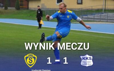 Remis ze sporym niedosytem – Stal Pleszew dzieli się punktami z Białym Orłem Koźmin Wlkp.