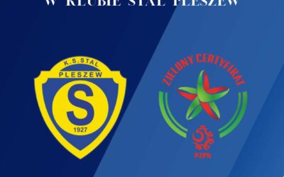 𝐙𝐈𝐄𝐋𝐎𝐍𝐀 𝐆𝐖𝐈𝐀𝐙𝐃𝐊𝐀 𝐏𝐙𝐏𝐍 𝐃𝐋𝐀 𝐒𝐓𝐀𝐋𝐈 𝐏𝐋𝐄𝐒𝐙𝐄𝐖